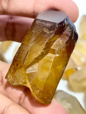 Natural Zambian Citrine, 1.32Kg 34Pieces Wholesale Flat