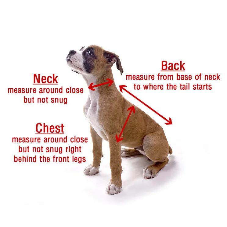 Random Crystal & Brown Leather Collar & Leash, 15"-18"